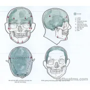 Các sắc thái đơn (Phần 2)